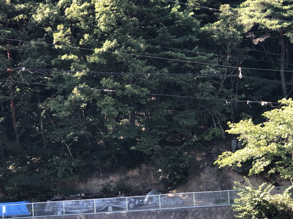 電線に絡まった釣り糸とルアー